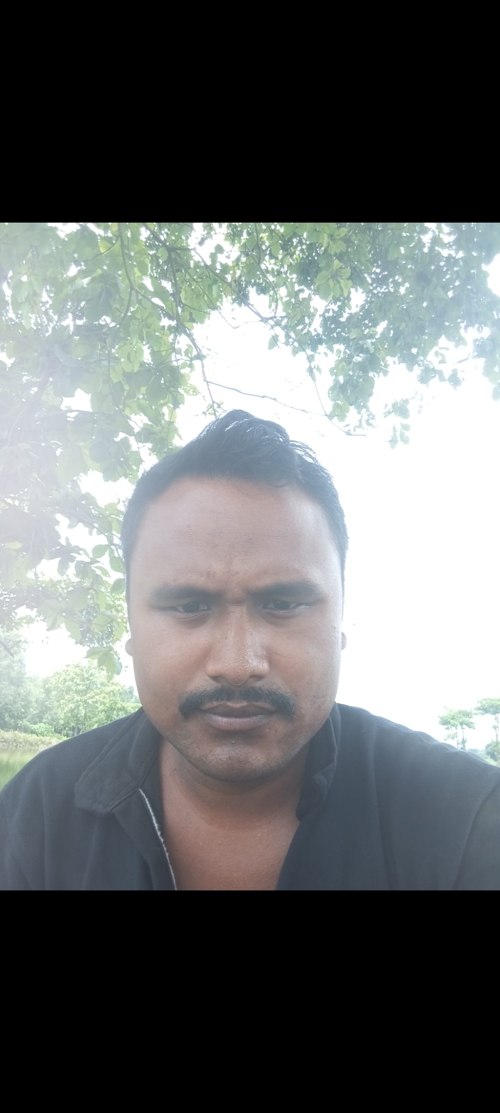 Toroni roy 